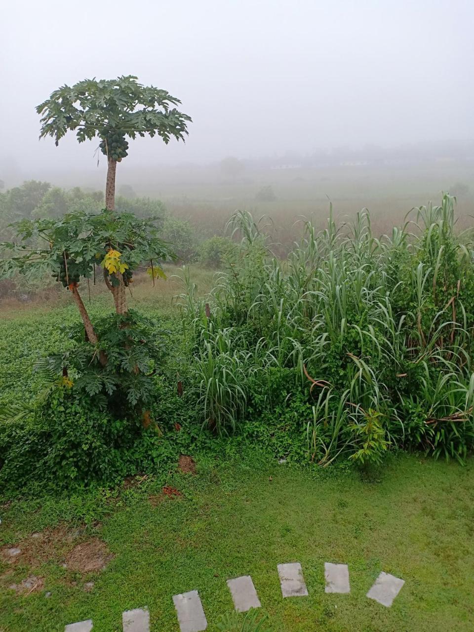 Greenfield Residence Prachinburi Buitenkant foto